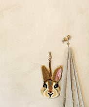 Mister Rabbit Hook