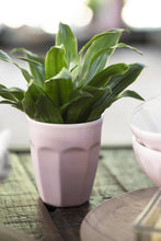 Latte Mug- English Rose